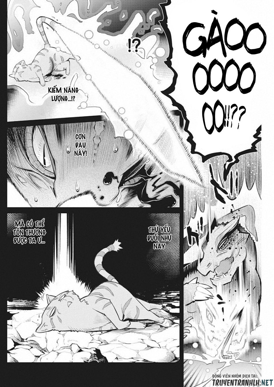 I Am Behemoth Of The S Rank Monster But I Am Mistaken As A Cat And I Live As A Pet Of Elf Girl Chapter 18 - Trang 2