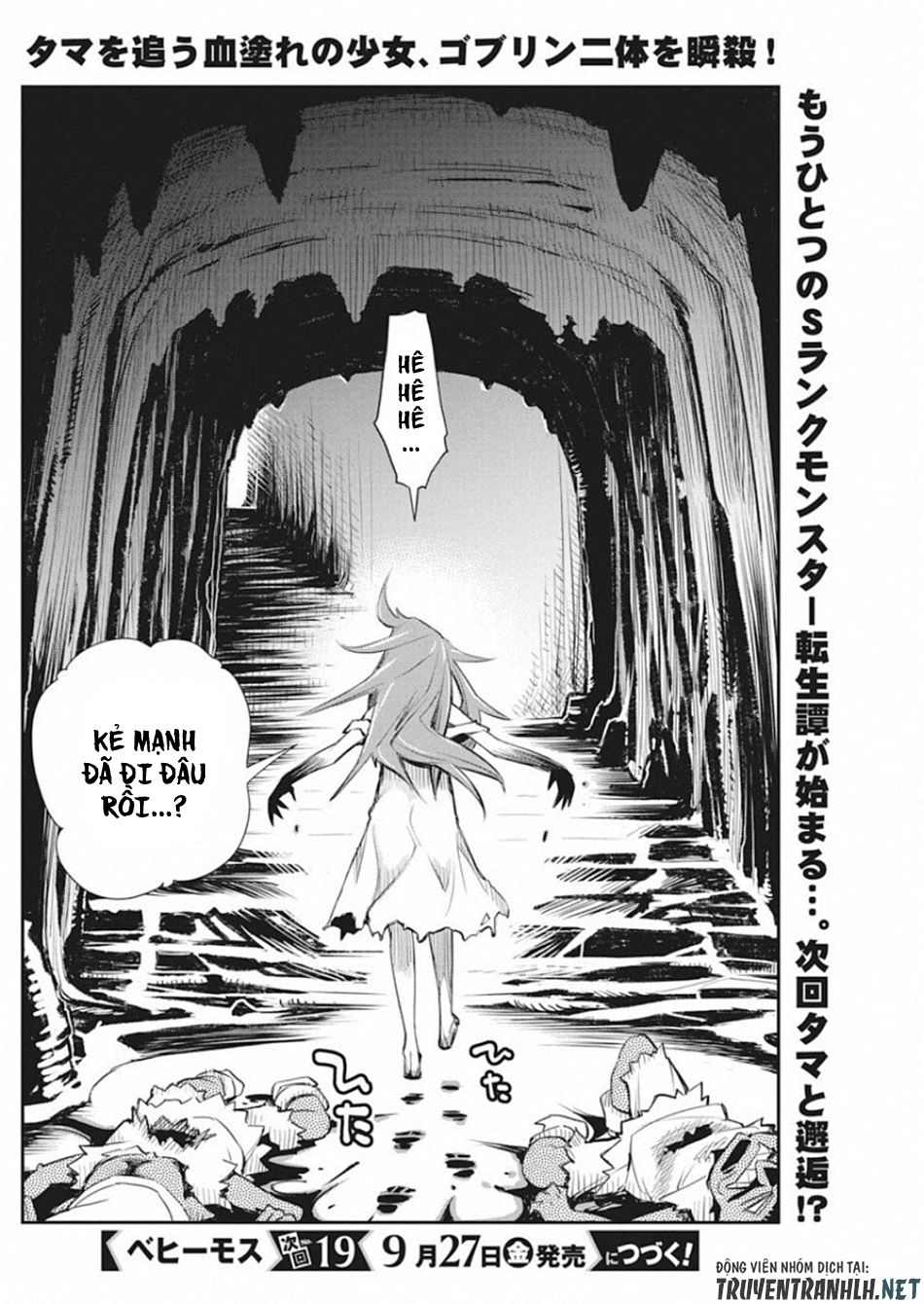 I Am Behemoth Of The S Rank Monster But I Am Mistaken As A Cat And I Live As A Pet Of Elf Girl Chapter 18 - Trang 2