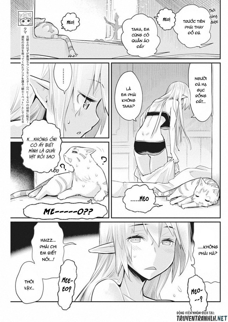 I Am Behemoth Of The S Rank Monster But I Am Mistaken As A Cat And I Live As A Pet Of Elf Girl Chapter 18 - Trang 2