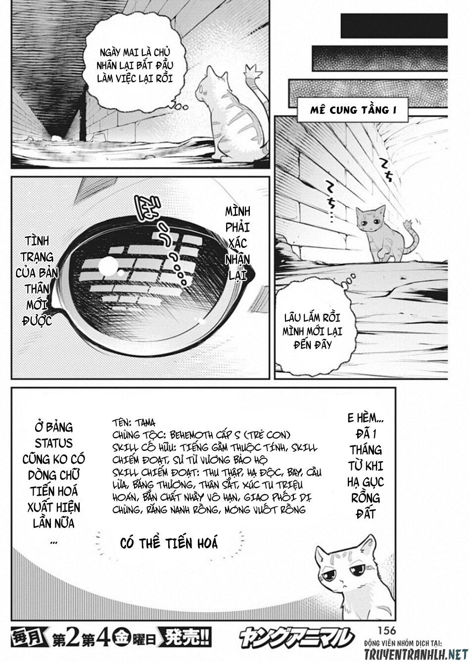 I Am Behemoth Of The S Rank Monster But I Am Mistaken As A Cat And I Live As A Pet Of Elf Girl Chapter 19 - Trang 2