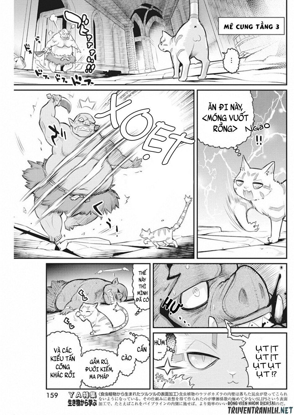 I Am Behemoth Of The S Rank Monster But I Am Mistaken As A Cat And I Live As A Pet Of Elf Girl Chapter 19 - Trang 2