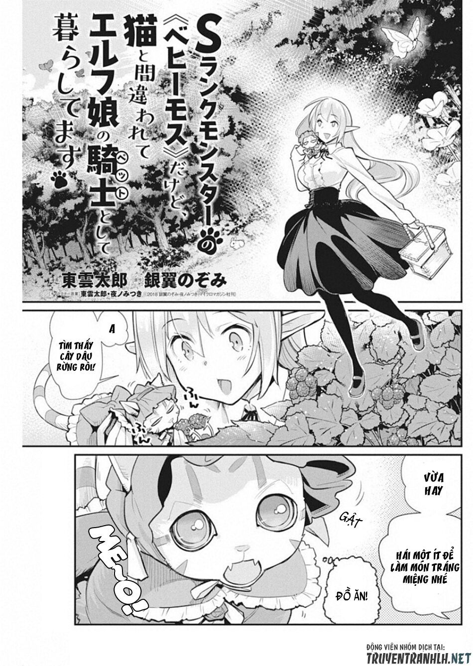 I Am Behemoth Of The S Rank Monster But I Am Mistaken As A Cat And I Live As A Pet Of Elf Girl Chapter 19 - Trang 2