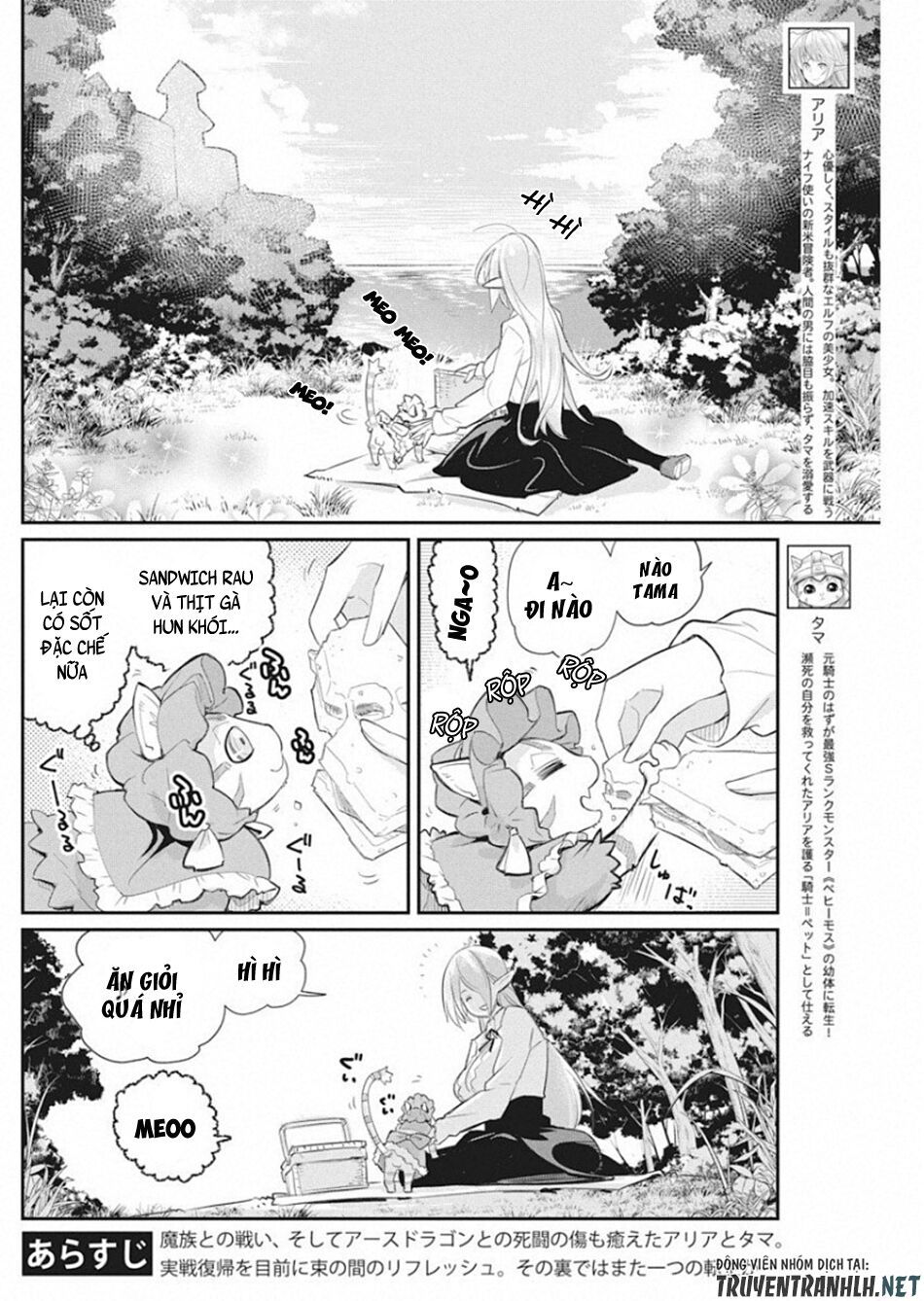 I Am Behemoth Of The S Rank Monster But I Am Mistaken As A Cat And I Live As A Pet Of Elf Girl Chapter 19 - Trang 2