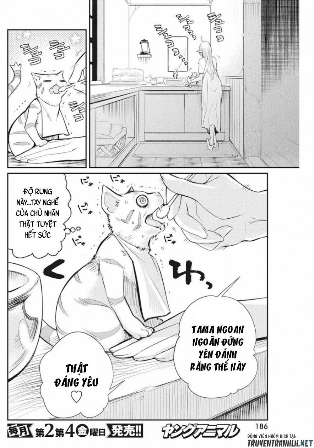 I Am Behemoth Of The S Rank Monster But I Am Mistaken As A Cat And I Live As A Pet Of Elf Girl Chapter 21 - Trang 2