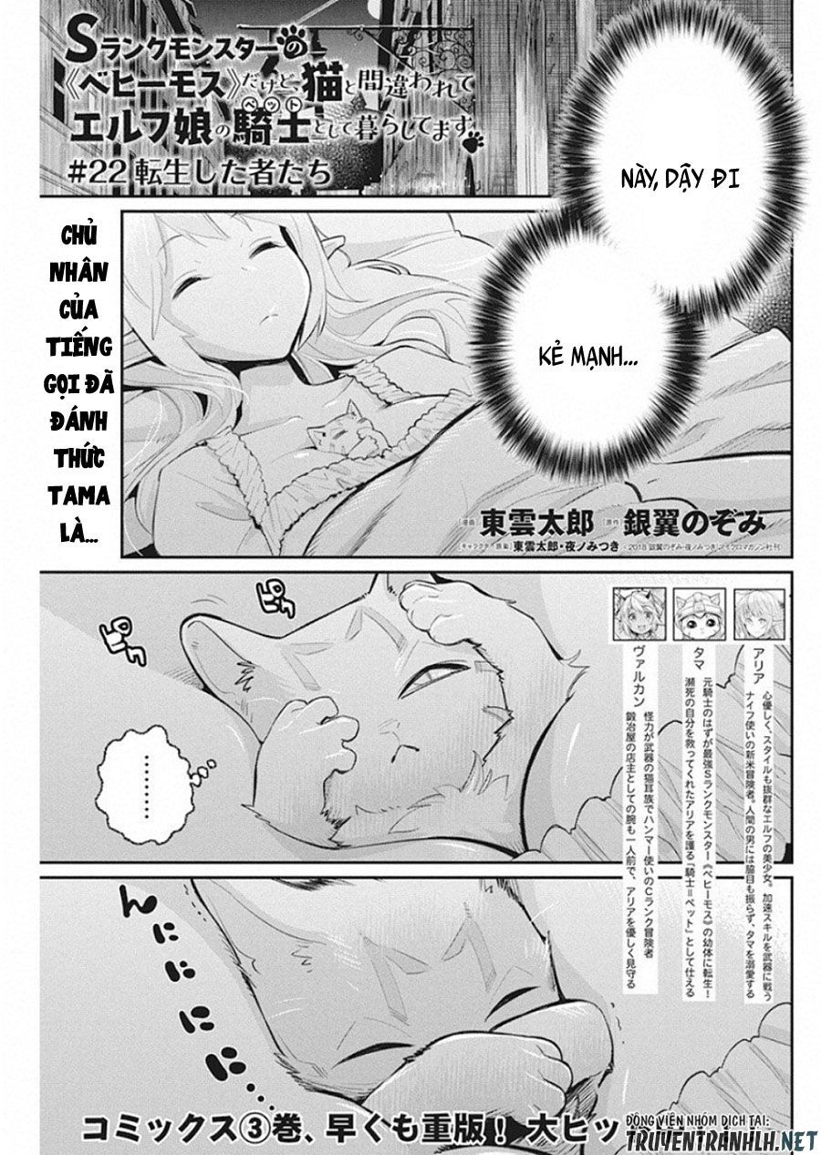 I Am Behemoth Of The S Rank Monster But I Am Mistaken As A Cat And I Live As A Pet Of Elf Girl Chapter 22 - Trang 2