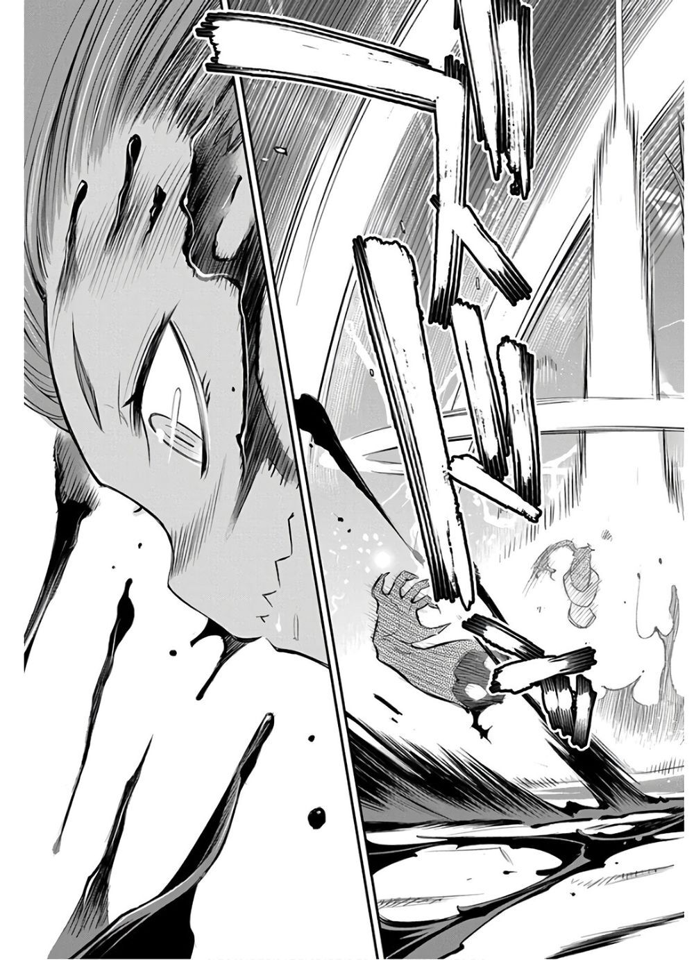 I Am Behemoth Of The S Rank Monster But I Am Mistaken As A Cat And I Live As A Pet Of Elf Girl Chapter 23 - Trang 2