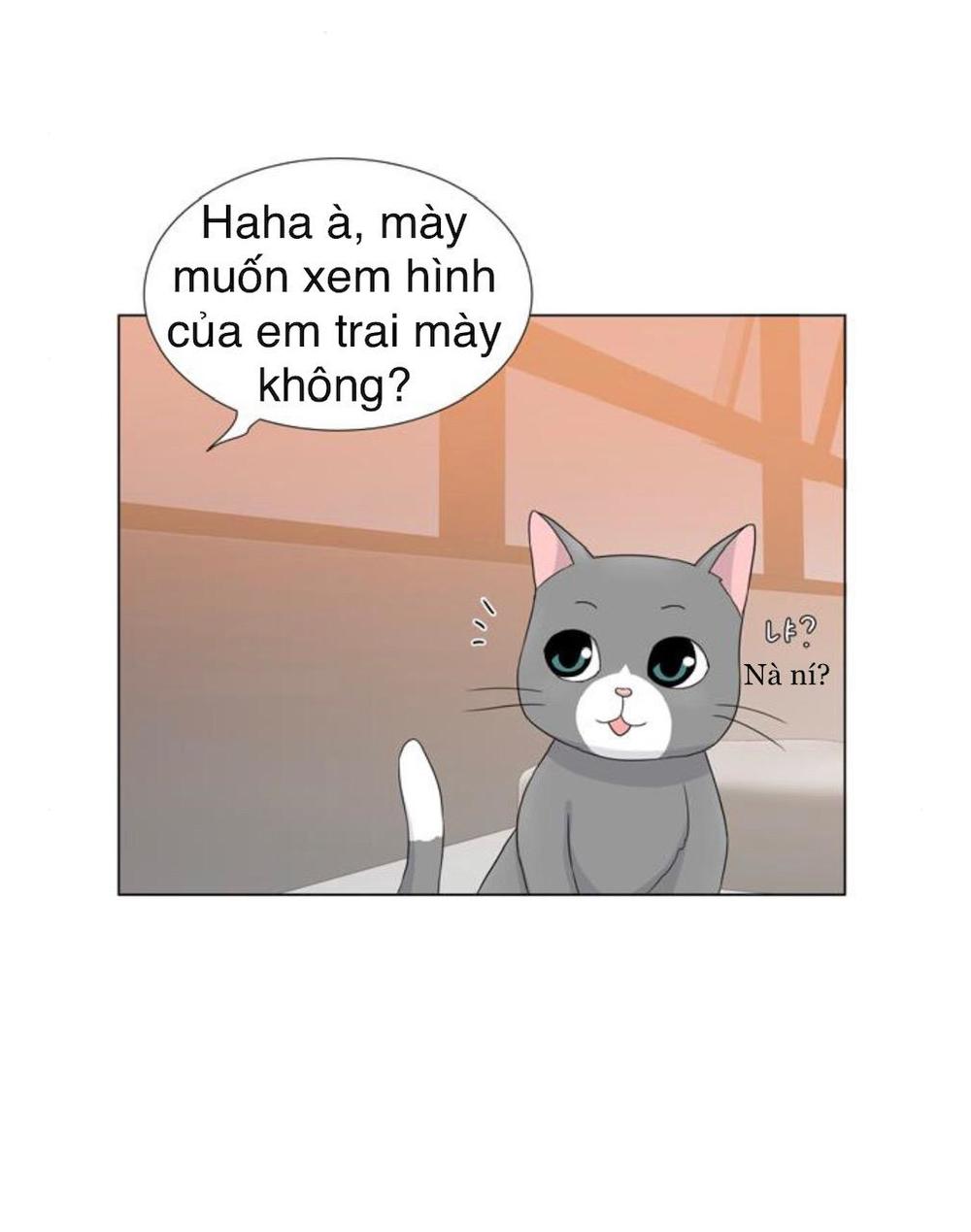 Idol Và Sếp Em Yêu Ai? Chapter 32 - Trang 2