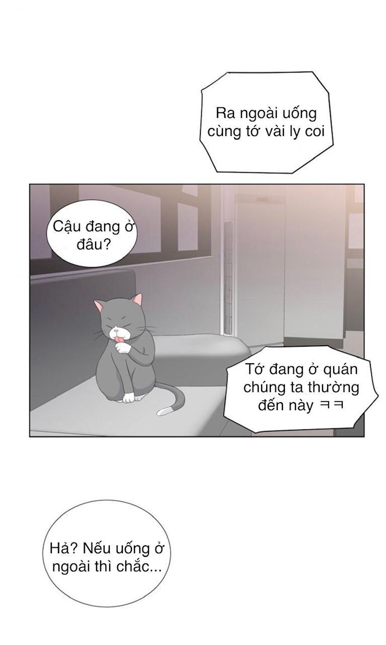 Idol Và Sếp Em Yêu Ai? Chapter 32 - Trang 2