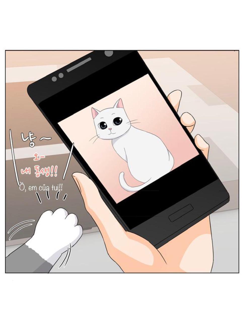 Idol Và Sếp Em Yêu Ai? Chapter 32 - Trang 2