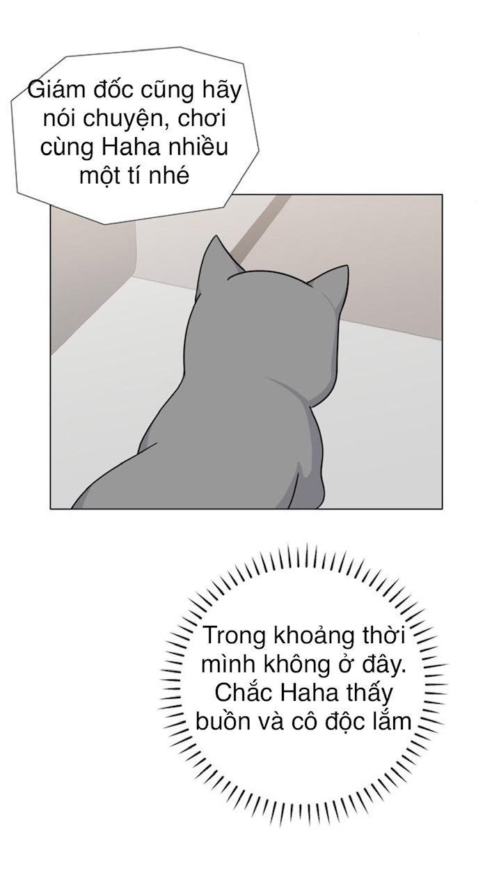 Idol Và Sếp Em Yêu Ai? Chapter 68 - Trang 2