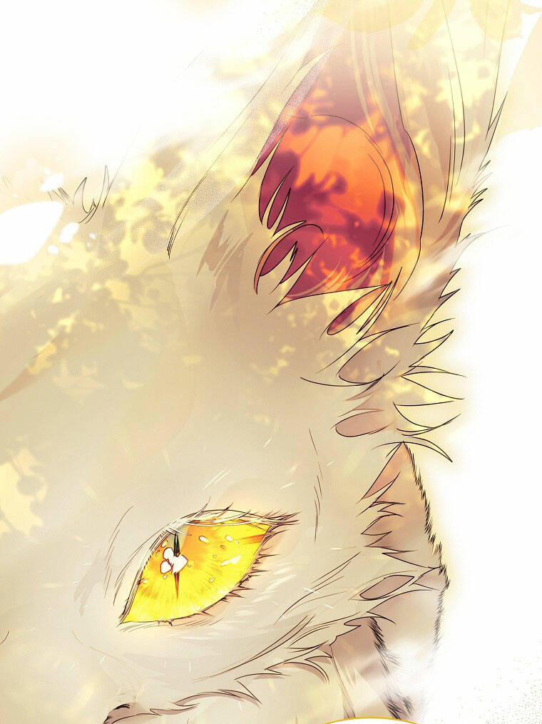 Innocents Shounen Juujugun Chapter 20.1 - Trang 2