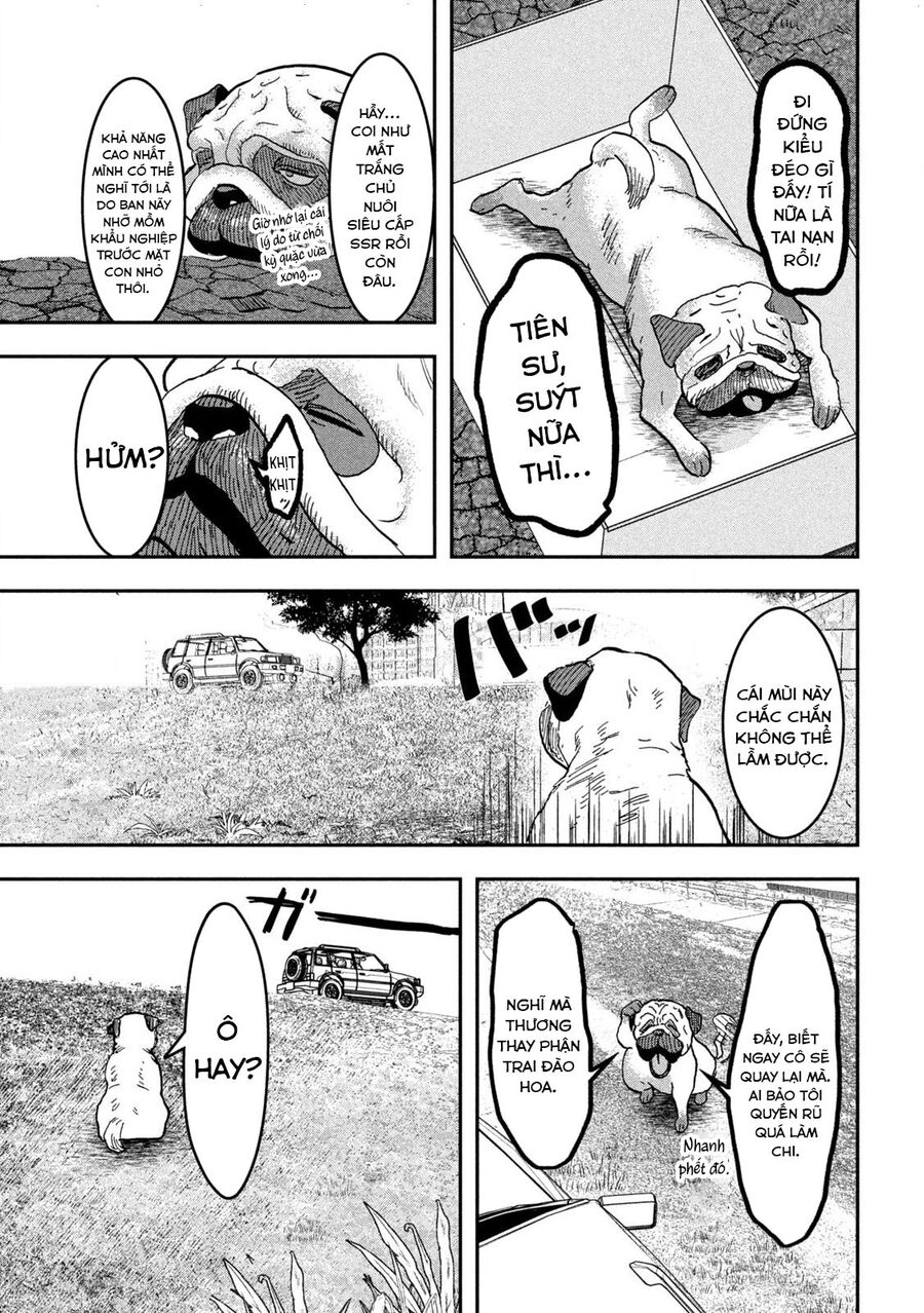 Innu – Chú Chó Bá Đạo Chapter 1 - Trang 2