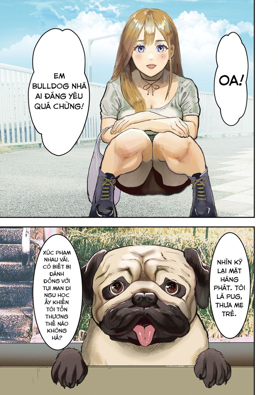 Innu – Chú Chó Bá Đạo Chapter 1 - Trang 2