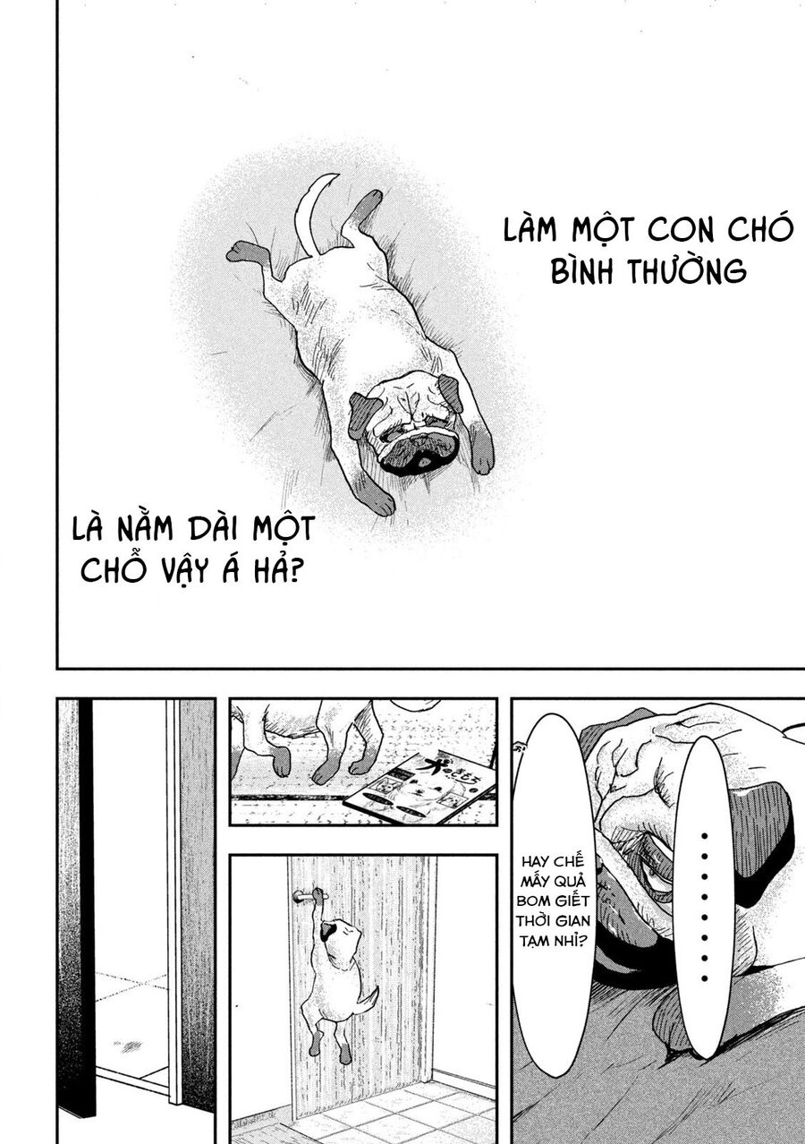 Innu – Chú Chó Bá Đạo Chapter 2 - Trang 2