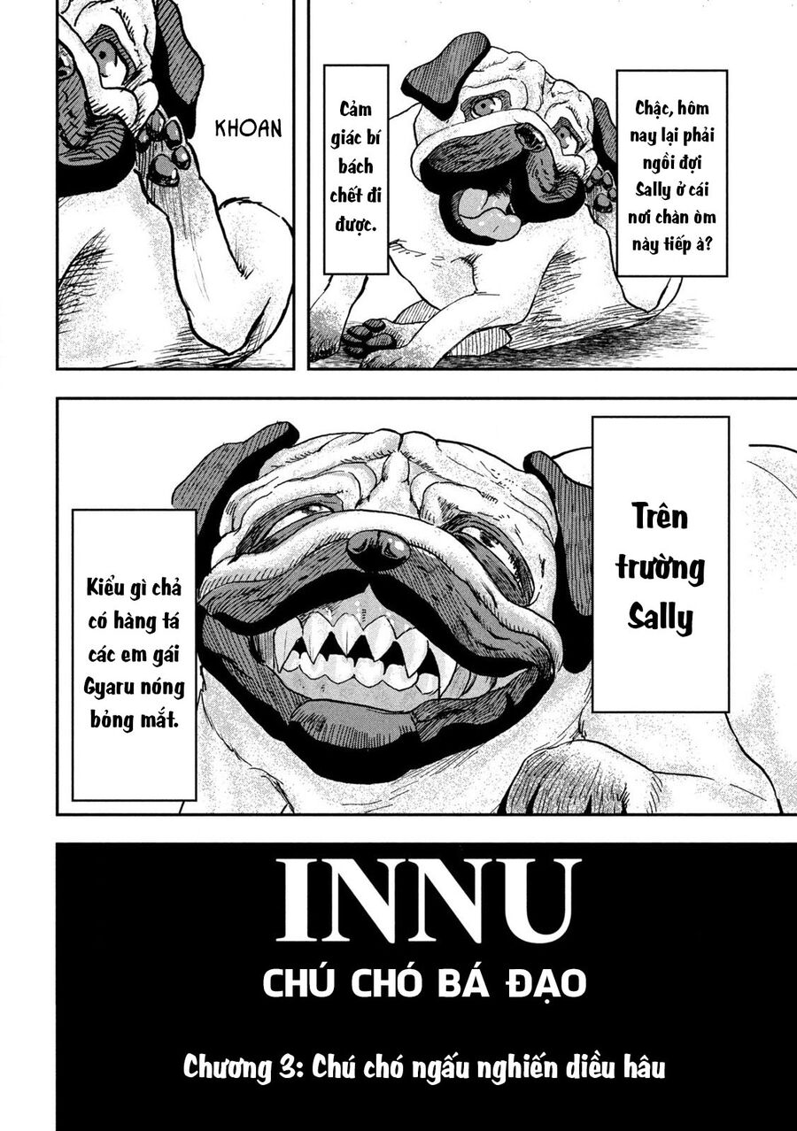 Innu – Chú Chó Bá Đạo Chapter 3 - Trang 2