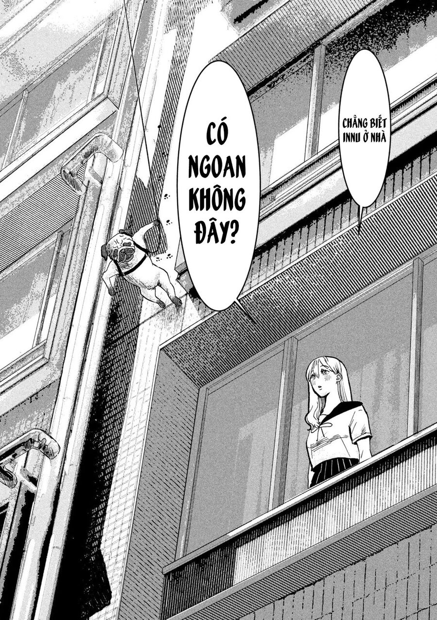 Innu – Chú Chó Bá Đạo Chapter 3 - Trang 2