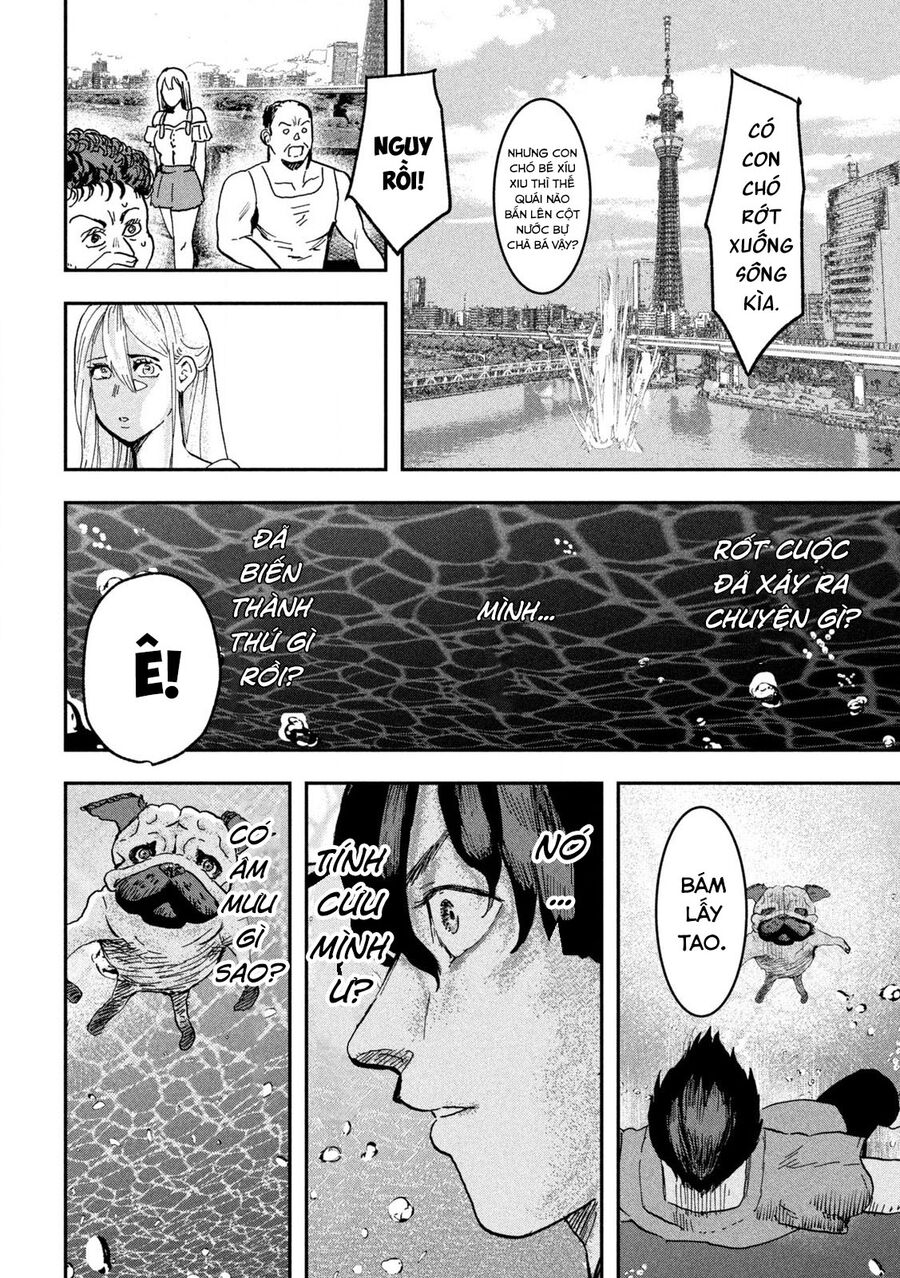 Innu – Chú Chó Bá Đạo Chapter 4 - Trang 2