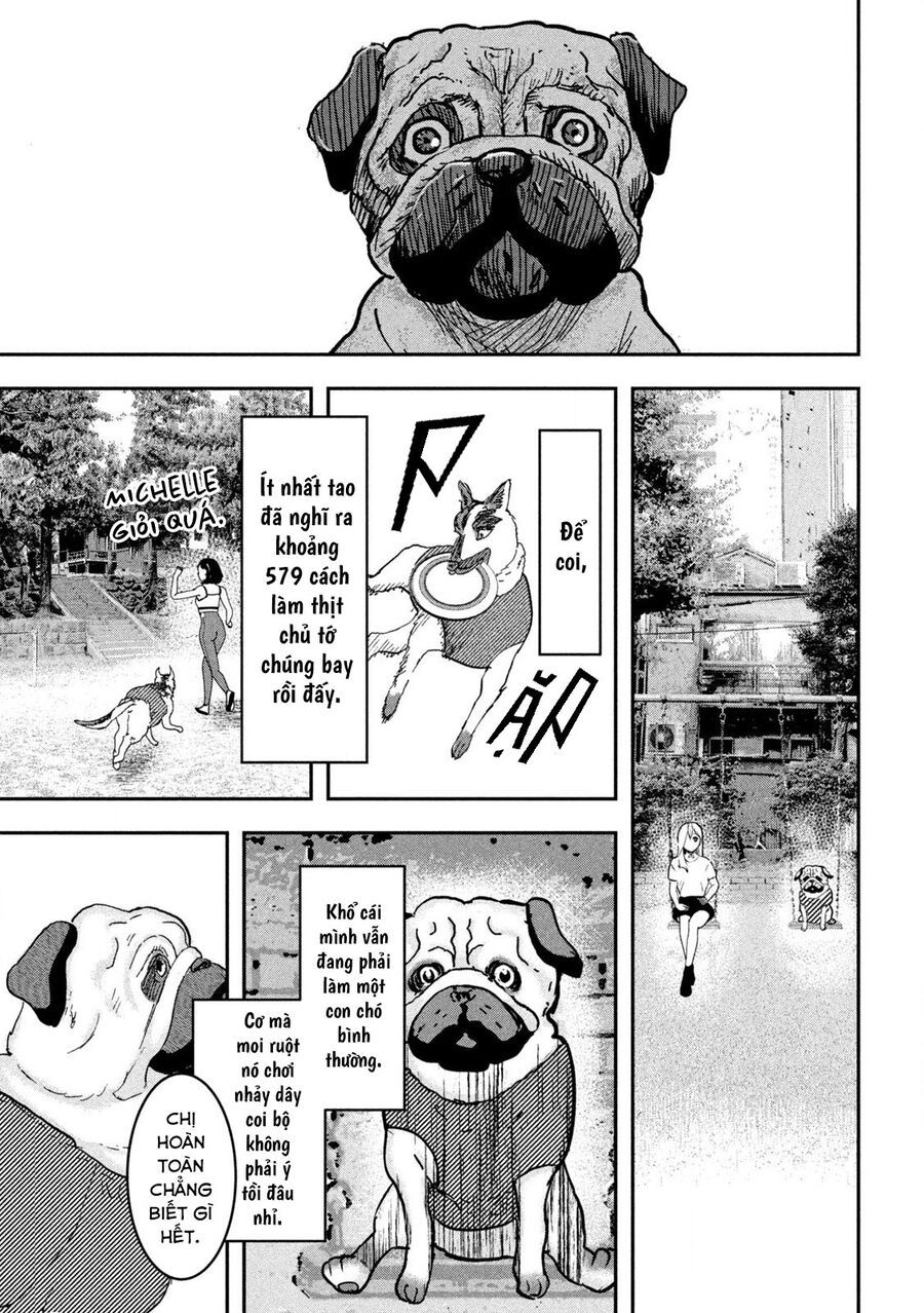Innu – Chú Chó Bá Đạo Chapter 5 - Trang 2
