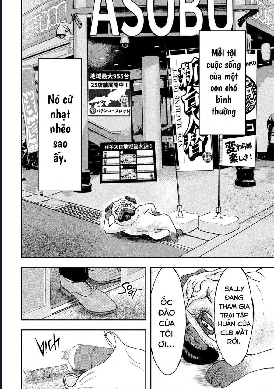Innu – Chú Chó Bá Đạo Chapter 6 - Trang 2
