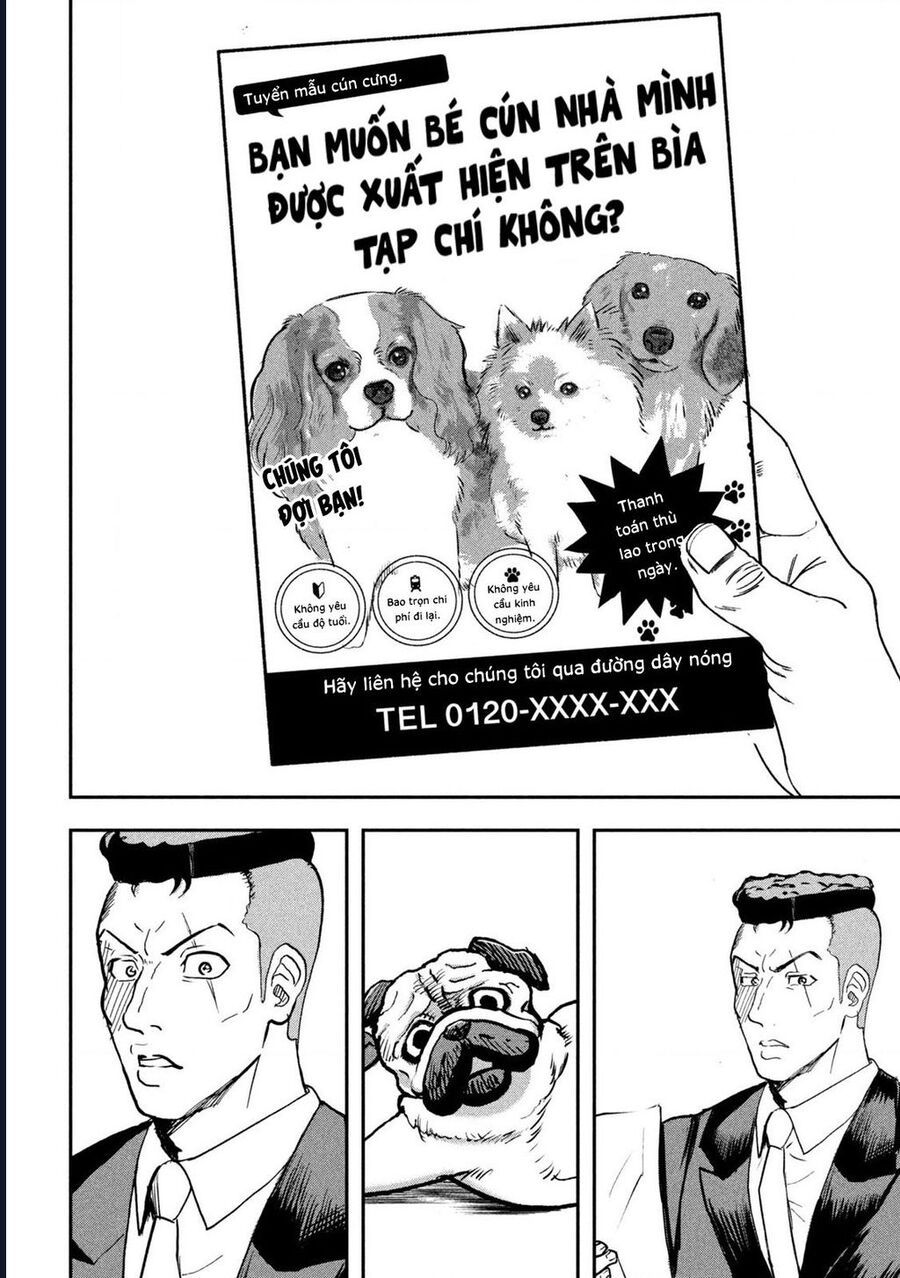 Innu – Chú Chó Bá Đạo Chapter 6 - Trang 2
