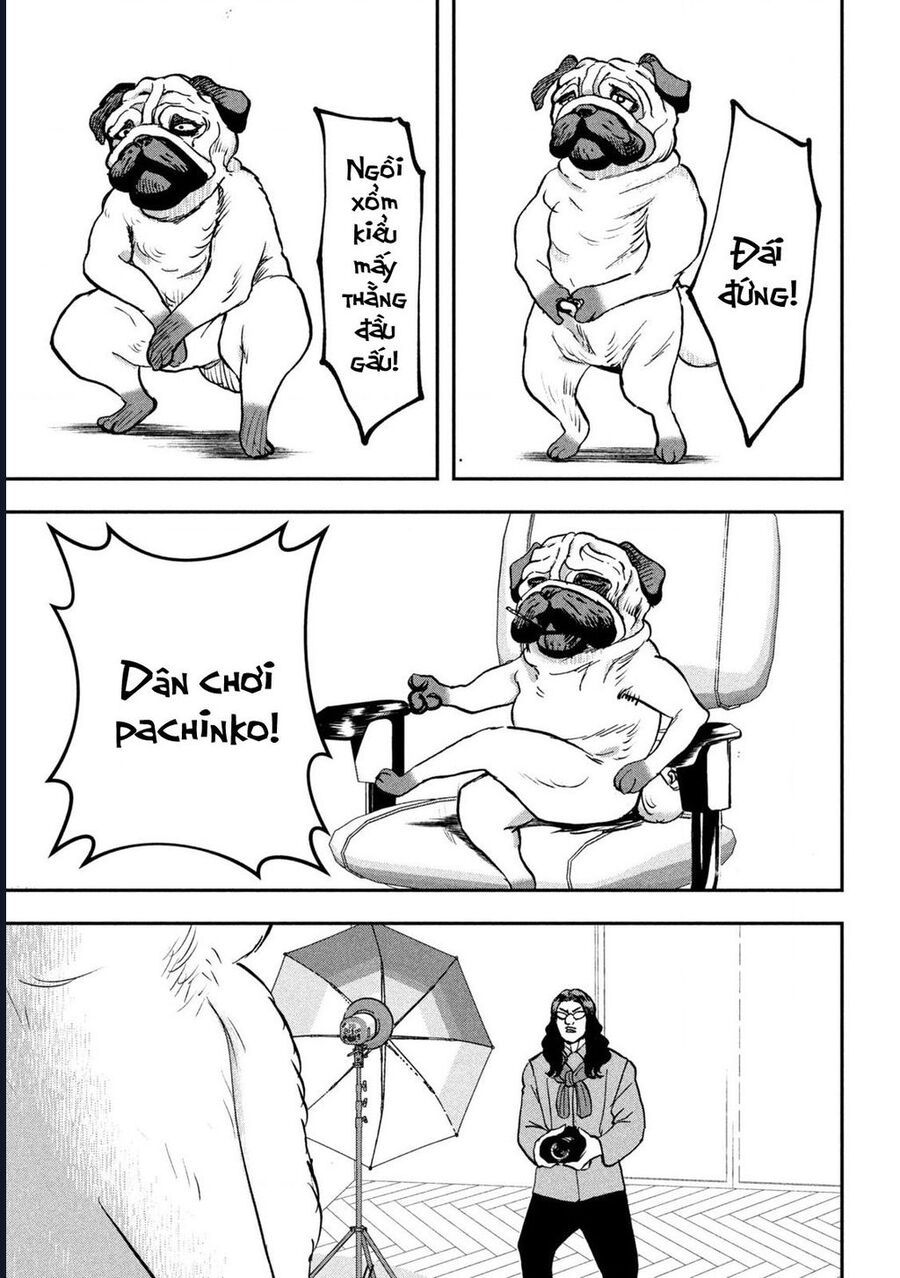 Innu – Chú Chó Bá Đạo Chapter 6 - Trang 2
