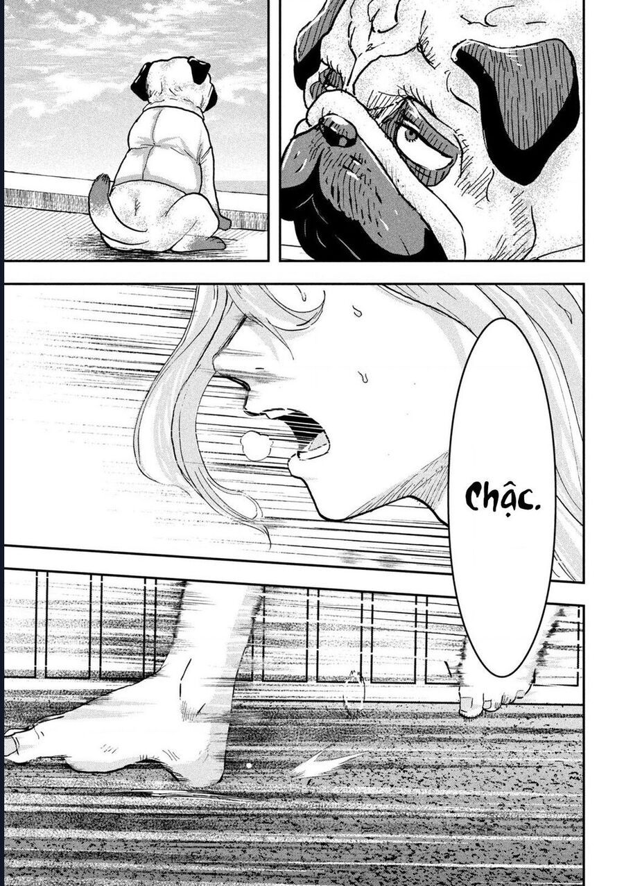 Innu – Chú Chó Bá Đạo Chapter 7 - Trang 2