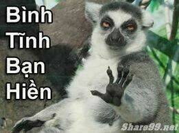 Just Troll Chapter 2 - Trang 2