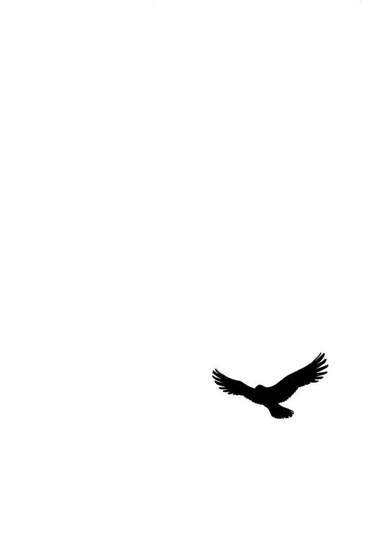 Kaiouki – Hải Hoàng Ký Chapter 28 - Trang 2