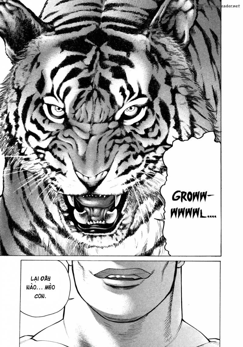 Karate Shoukoushi Kohinata Minoru Chapter 111 - Trang 2