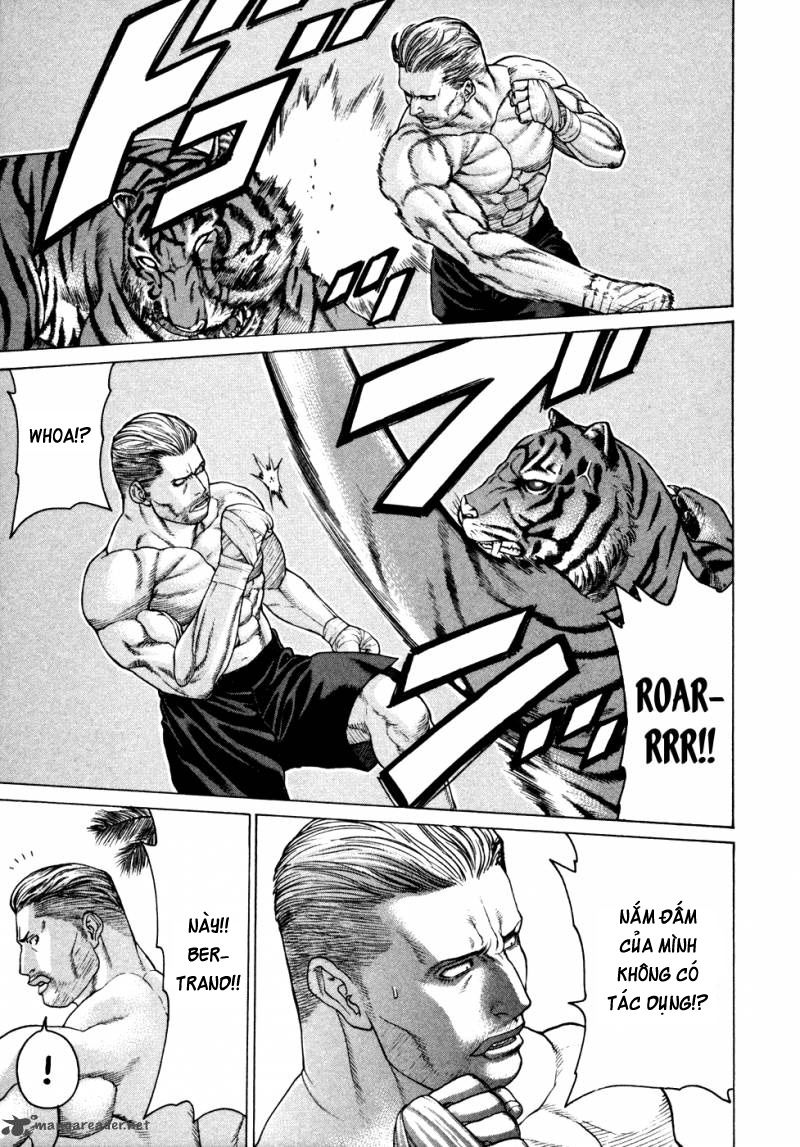 Karate Shoukoushi Kohinata Minoru Chapter 111 - Trang 2