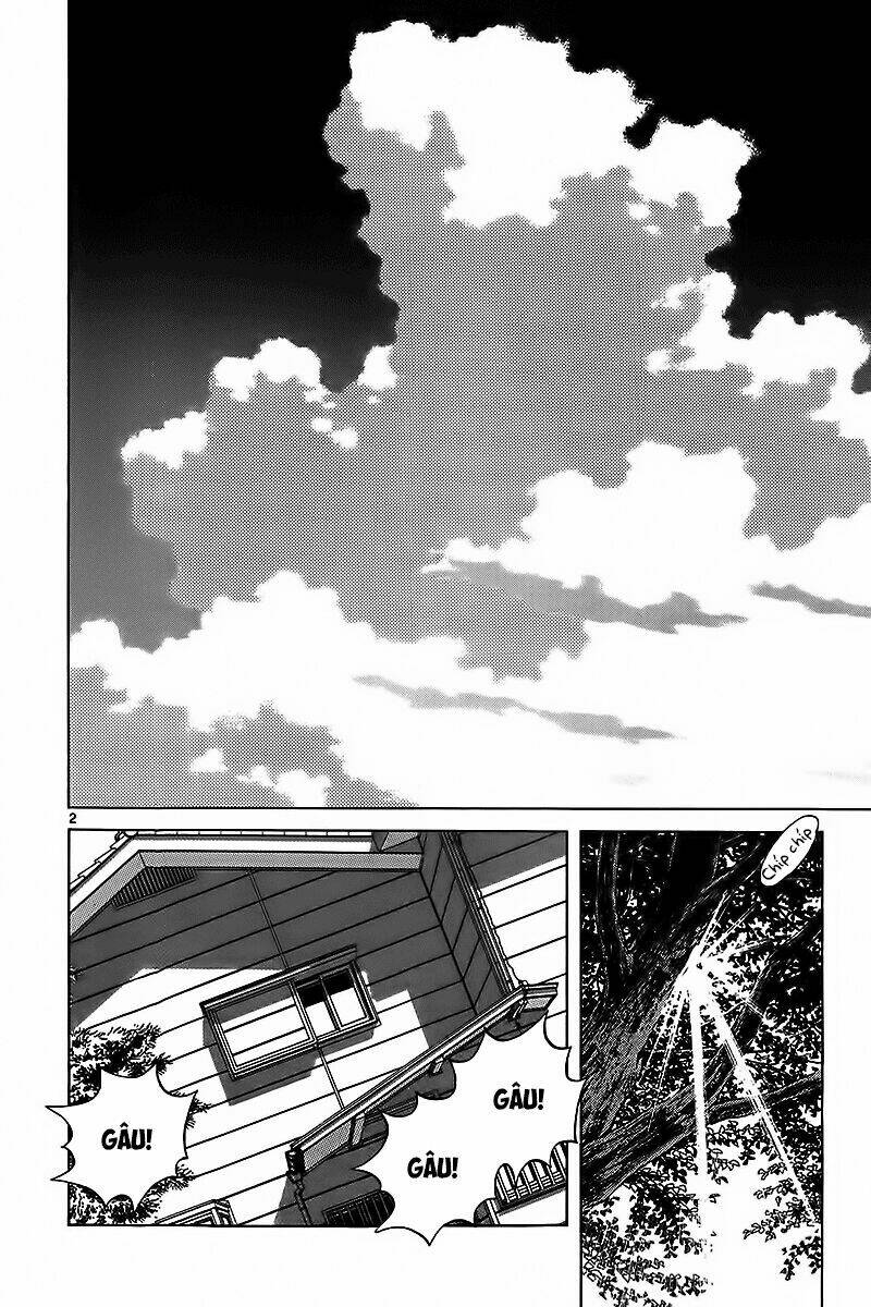 Katsu! Chapter 20 - Trang 2