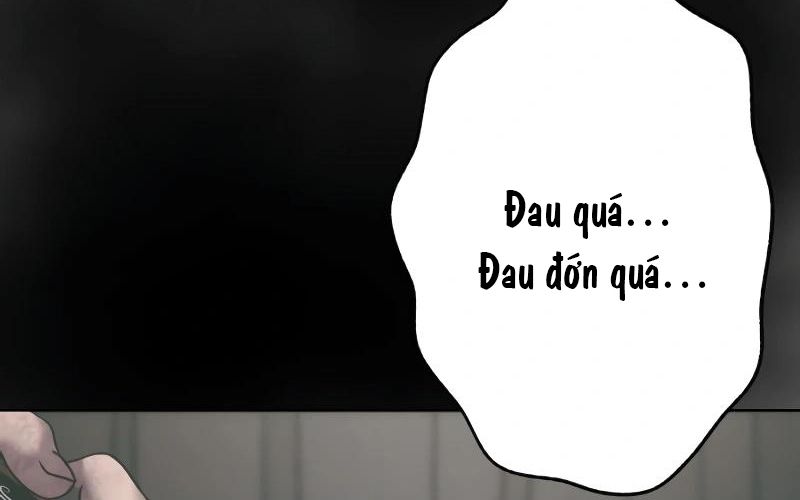 Kẻ Báo Thù Hoàn Hảo Chapter 13 - Trang 2