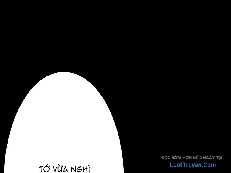 Kẻ Báo Thù Hoàn Hảo Chapter 14 - Trang 2