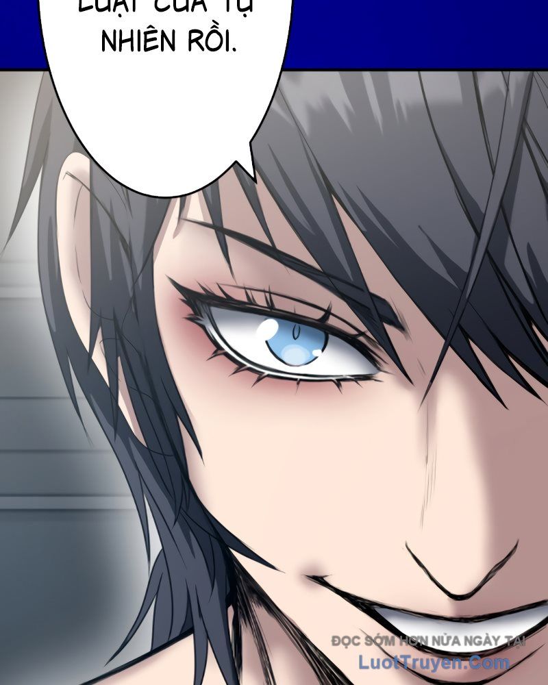 Kẻ Báo Thù Hoàn Hảo Chapter 5 - Trang 2