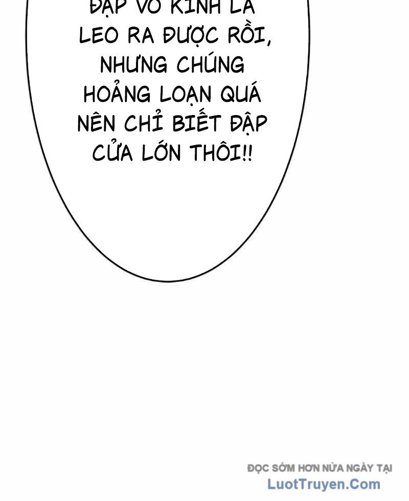 Kẻ Báo Thù Hoàn Hảo Chapter 8 - Trang 2