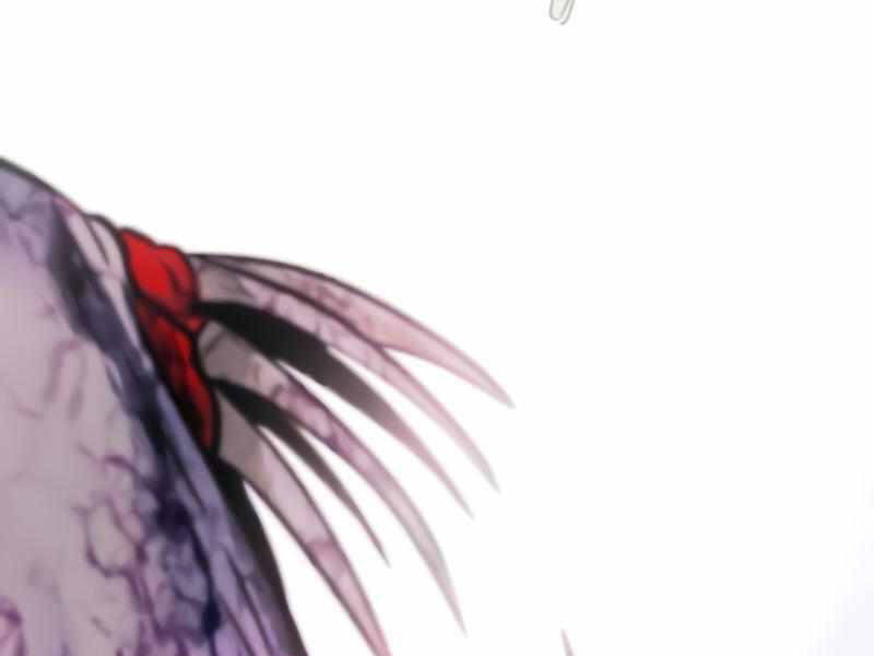 Kẻ Đa Tài Chapter 27.5 - Trang 2