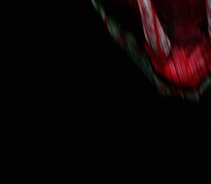 Kẻ Đa Tài Chapter 32 - Trang 2