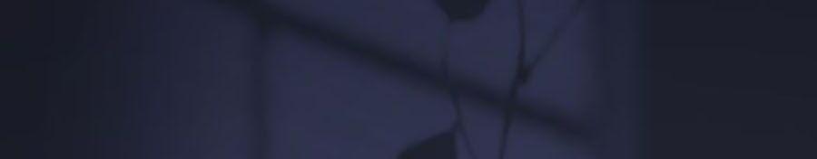 Kế Hoạch Công Lược Của Cô Vợ Gả Thay Chapter 20 - Trang 2