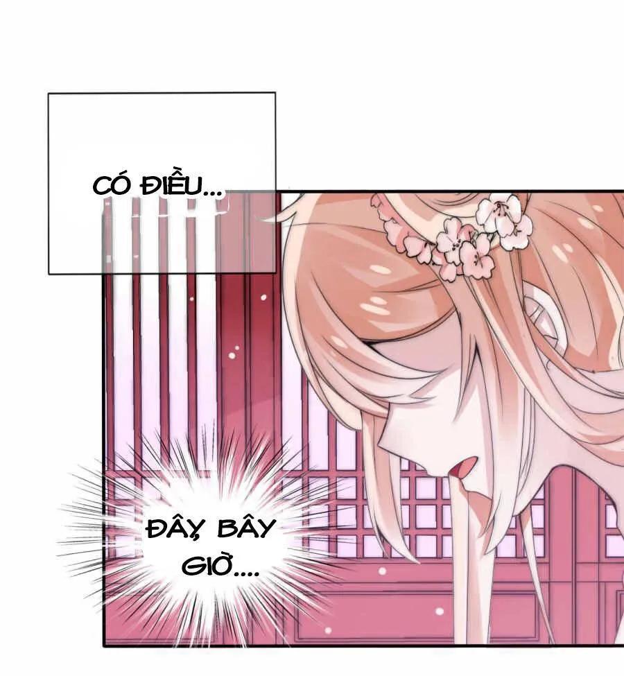 Kế Hoạch Sủng Ái Của Tiểu Công Chúa Chapter 2 - Trang 2