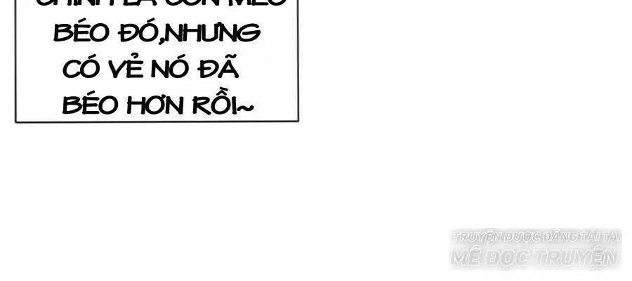 Kế Hoạch Sủng Ái Của Tiểu Công Chúa Chapter 2 - Trang 2