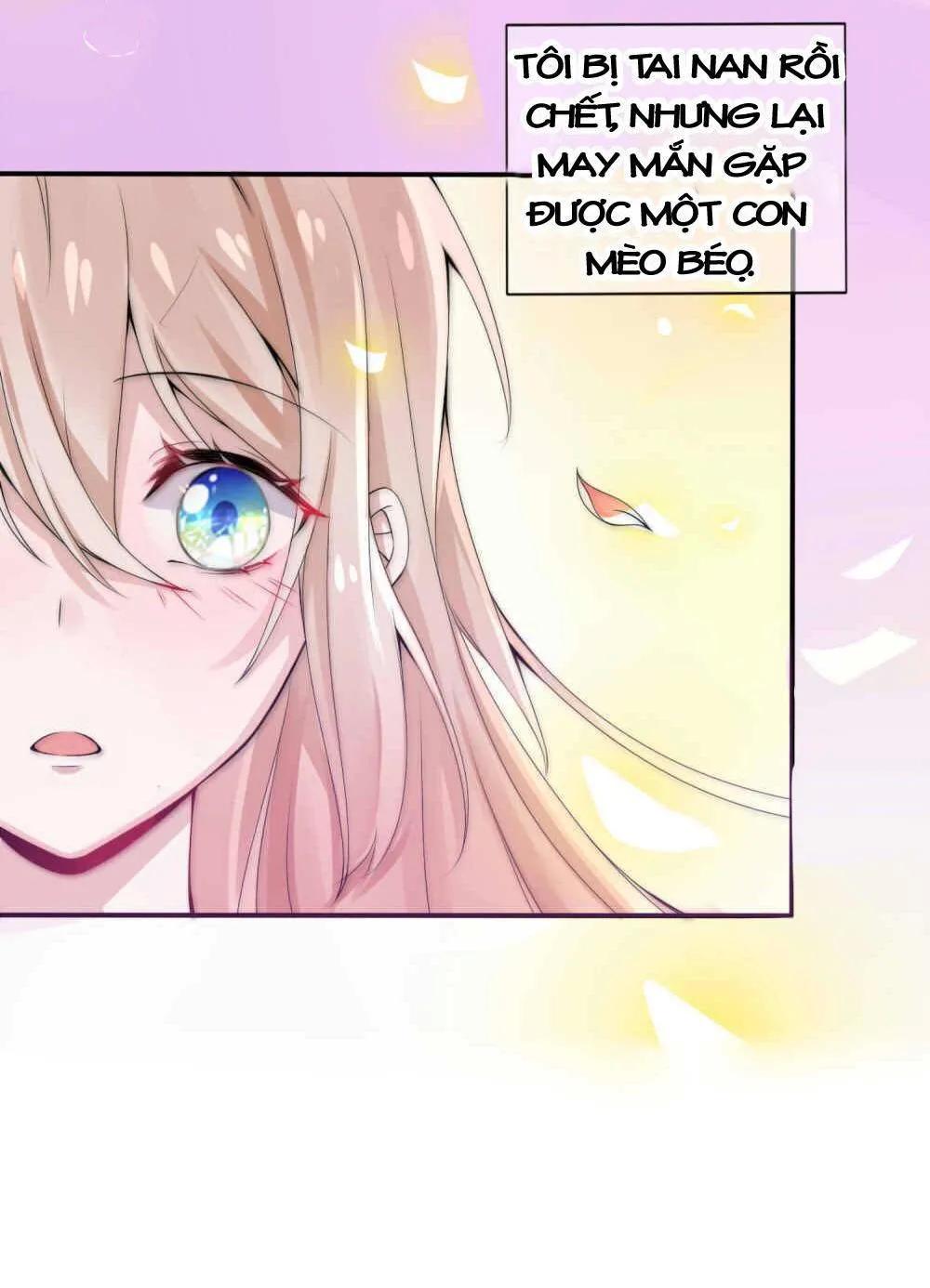 Kế Hoạch Sủng Ái Của Tiểu Công Chúa Chapter 2 - Trang 2