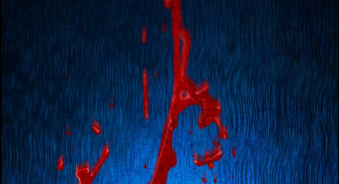 Kẻ Khủng Bố Chapter 110 - Trang 2