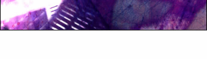 Kẻ Khủng Bố Chapter 22 - Trang 2