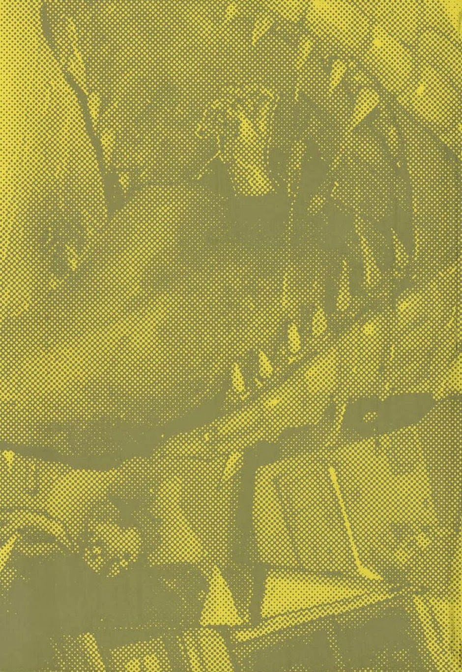 Kẻ Mất Trí Và Thế Giới Ma Thuật Chapter 11.5 - Trang 2