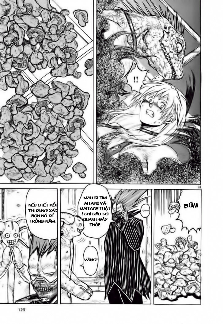 Kẻ Mất Trí Và Thế Giới Ma Thuật Chapter 5 - Trang 2