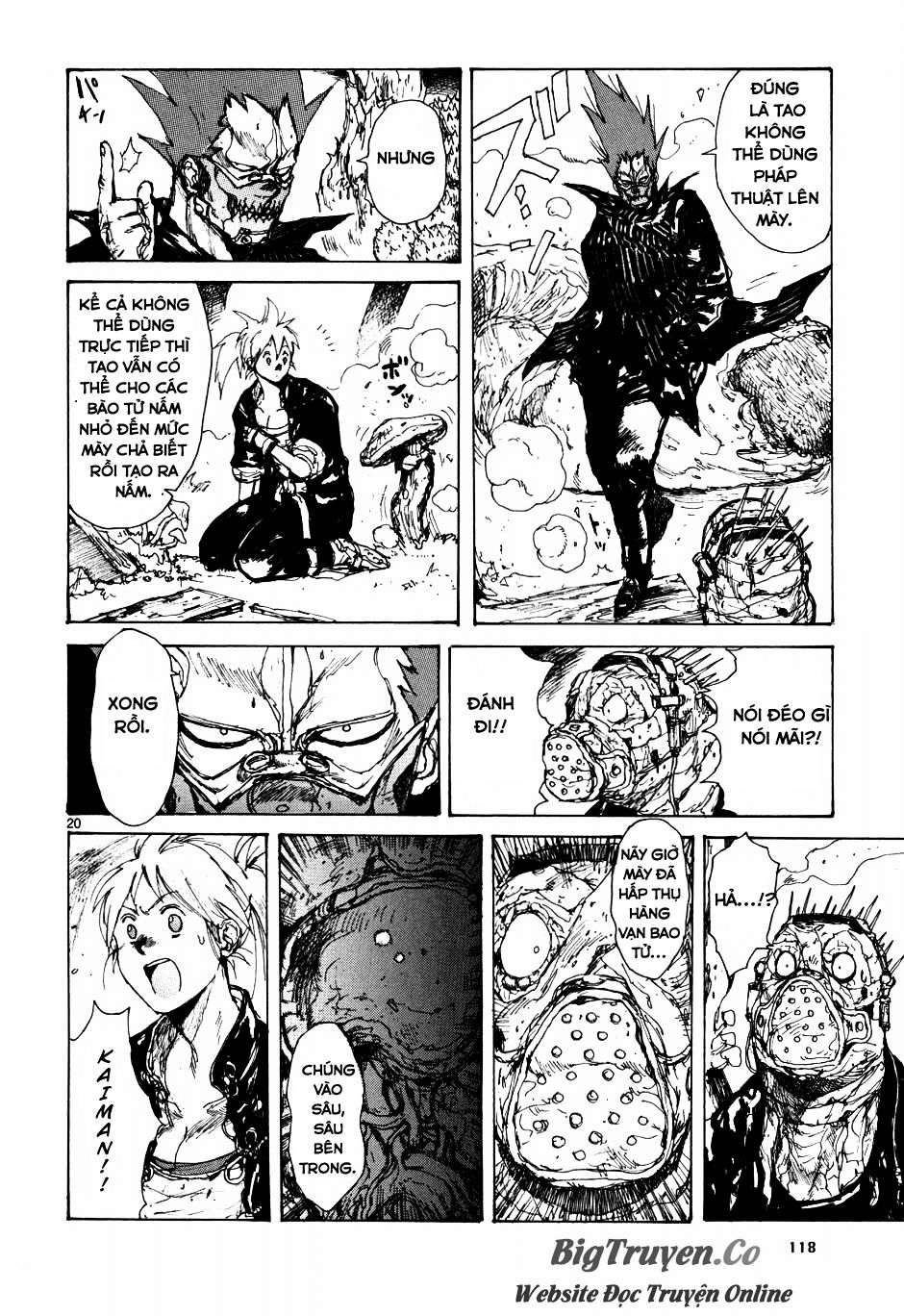 Kẻ Mất Trí Và Thế Giới Ma Thuật Chapter 60 - Trang 2