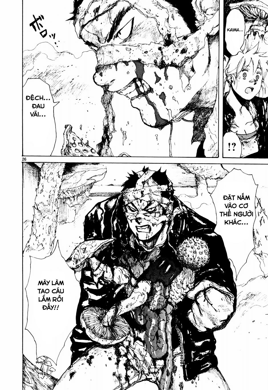 Kẻ Mất Trí Và Thế Giới Ma Thuật Chapter 60 - Trang 2