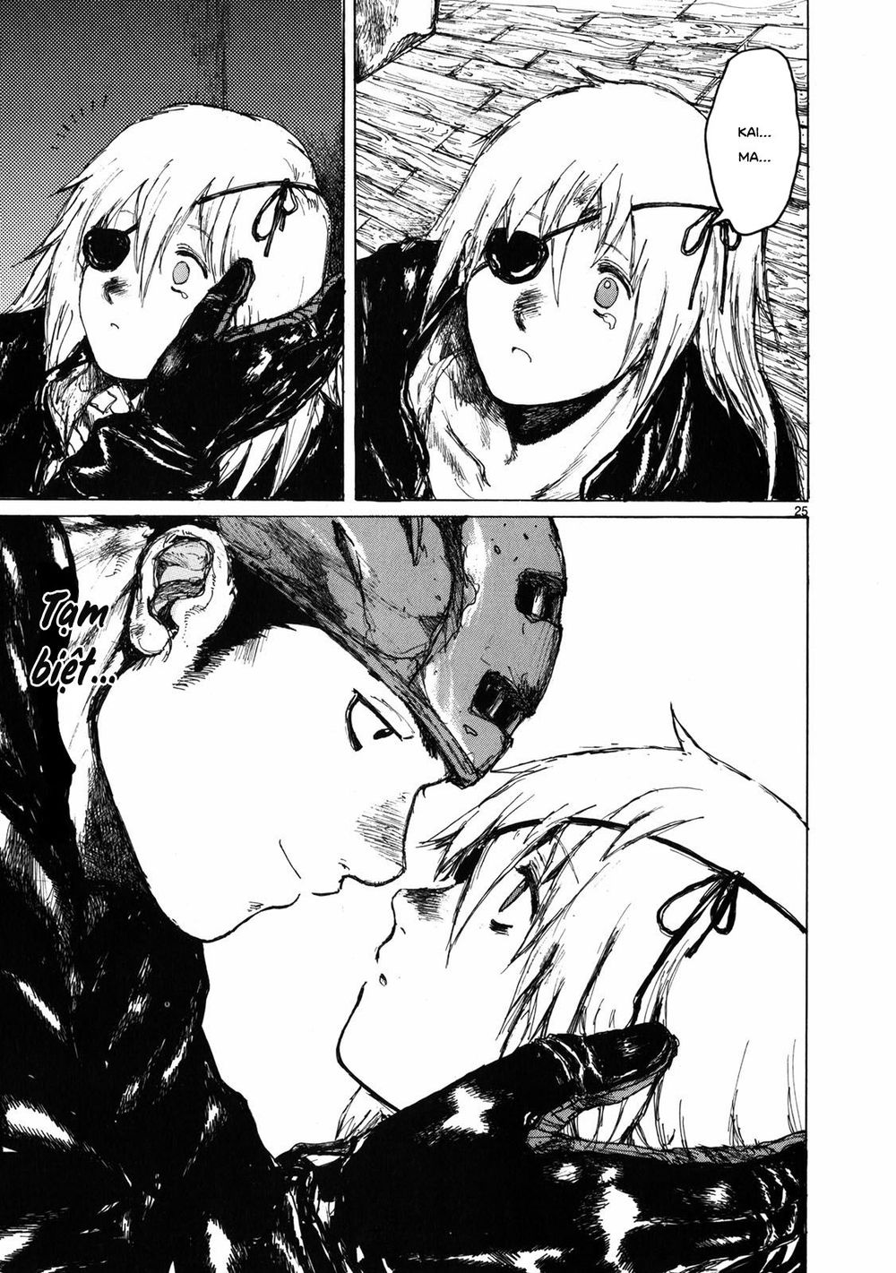 Kẻ Mất Trí Và Thế Giới Ma Thuật Chapter 66 - Trang 2