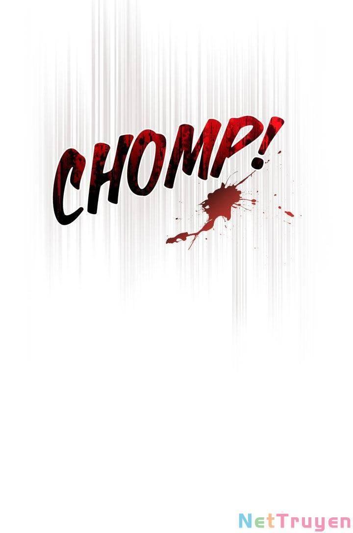 Kẻ Nghiệp Dư Chapter 14.2 - Trang 2