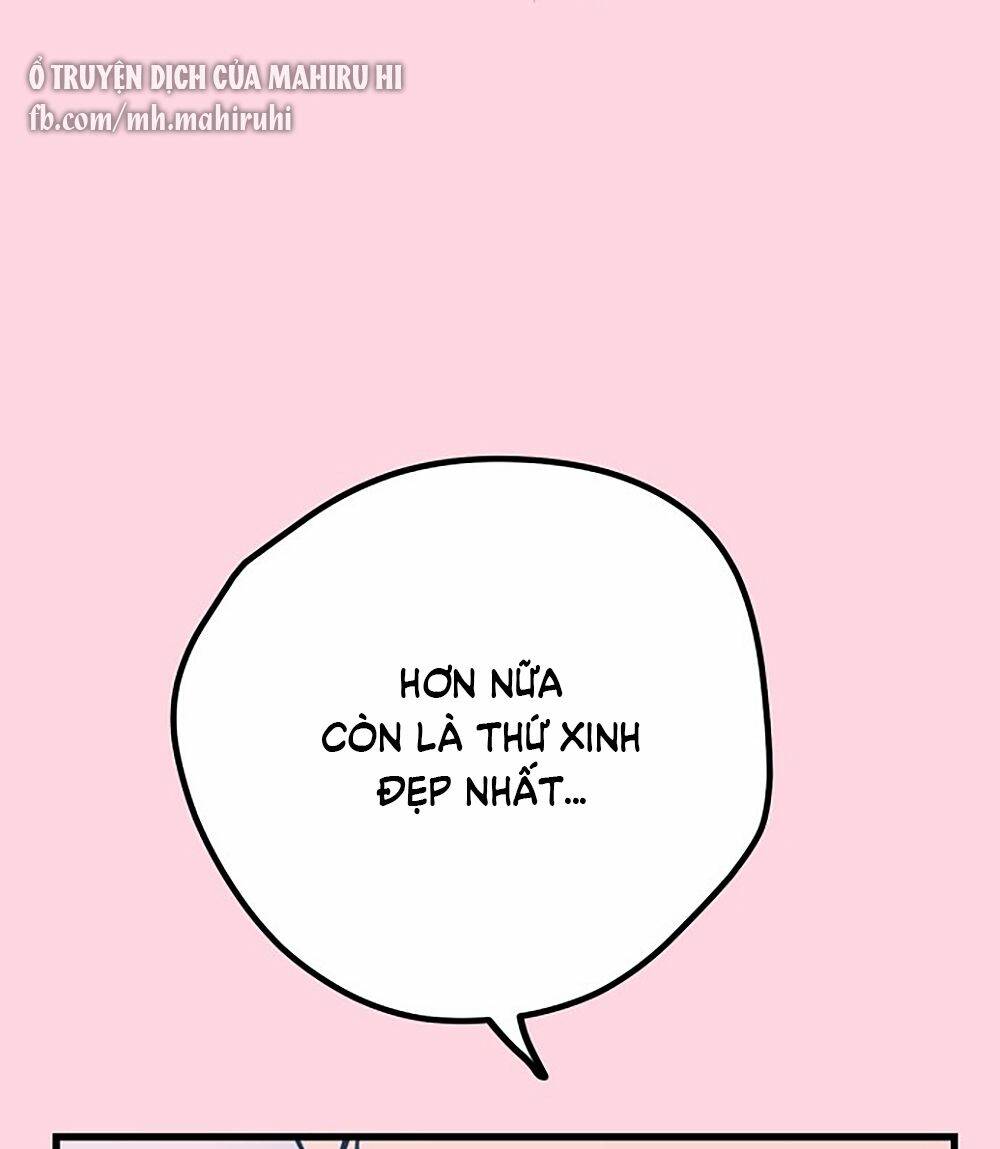 Kẻ Rác Rưởi Không Đáng Được Yêu Chapter 21 - Trang 2